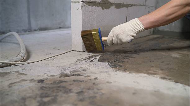 SJ Waterproofing Pros Emergency Waterproofing coverage map for Windsor, VA and surrounding area
